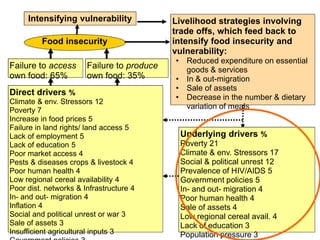 Food insecurity in southern Africa: integrating some of the evidence 