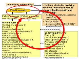 Food insecurity in southern Africa: integrating some of the evidence 