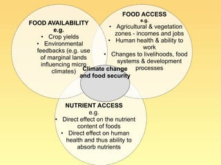 Food insecurity in southern Africa: integrating some of the evidence 