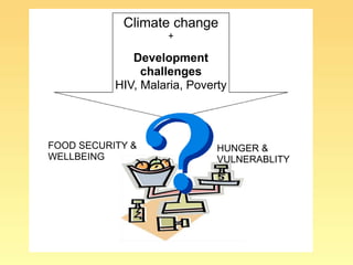 Food insecurity in southern Africa: integrating some of the evidence 