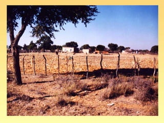 Food insecurity in southern Africa: integrating some of the evidence 