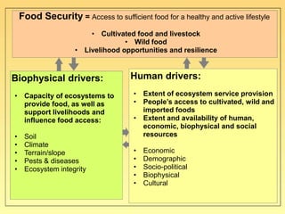 Food insecurity in southern Africa: integrating some of the evidence 