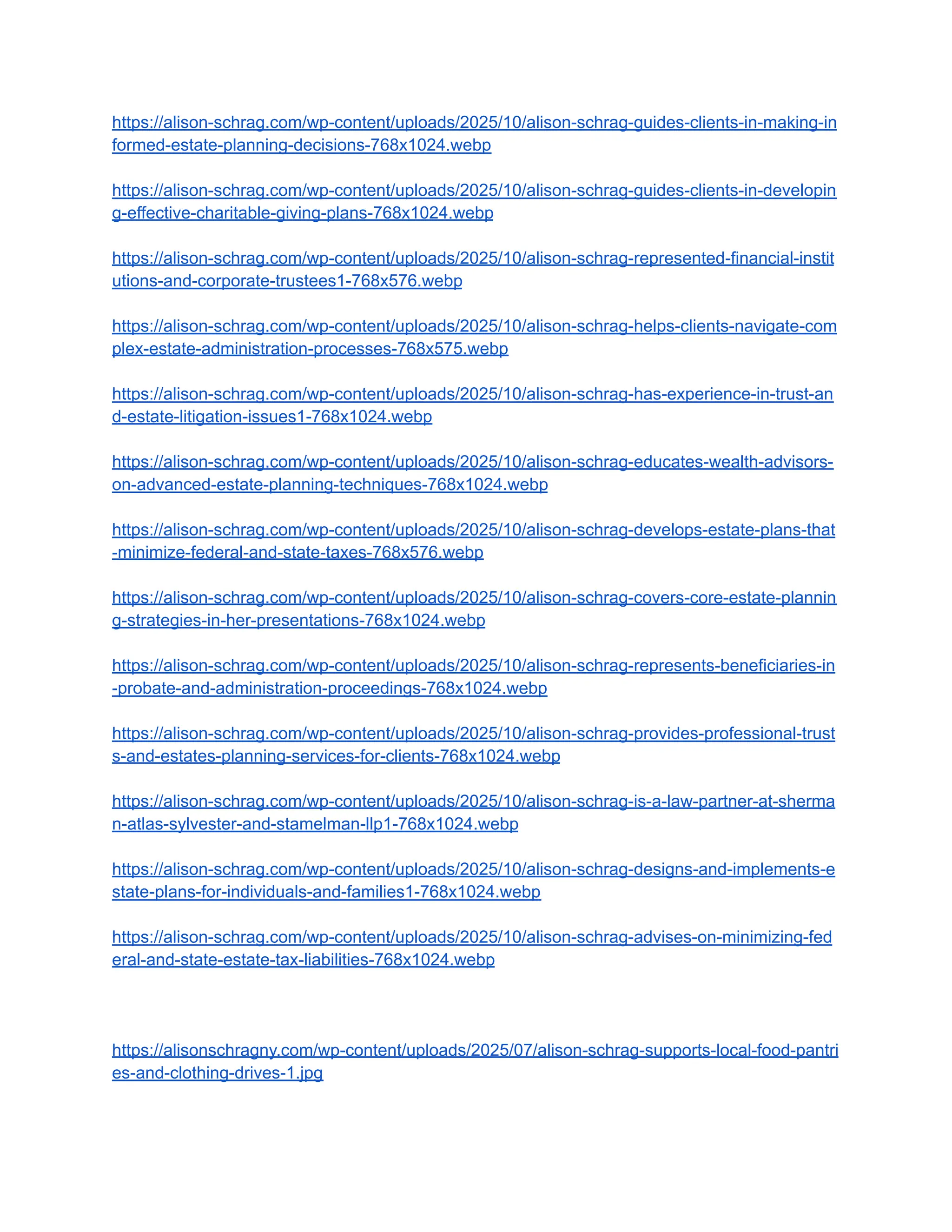 Alison Schrag | Legal Advisor On Estates | PDF