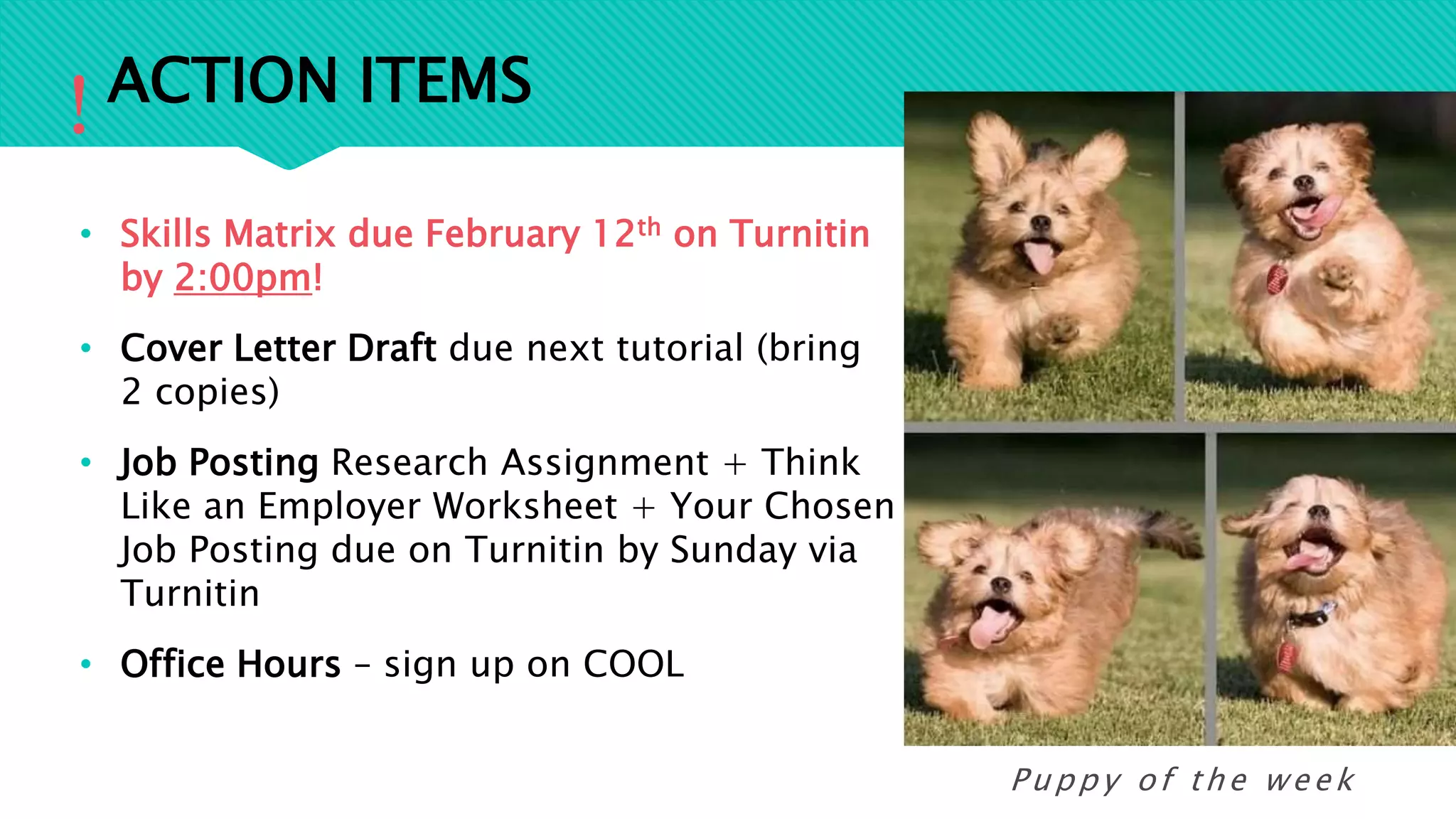 ACTION ITEMS
• Skills Matrix due February 12th on Turnitin
by 2:00pm!
• Cover Letter Draft due next tutorial (bring
2 copies)
• Job Posting Research Assignment + Think
Like an Employer Worksheet + Your Chosen
Job Posting due on Turnitin by Sunday via
Turnitin
• Office Hours – sign up on COOL
!
Puppy of the week
 