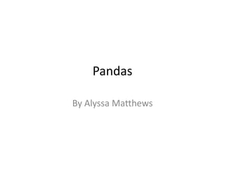 Pandas

By Alyssa Matthews
 