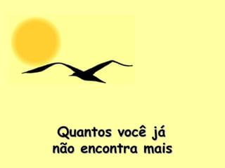 Quantos você jáQuantos você já
não encontra maisnão encontra mais
 