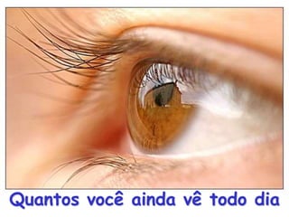 Quantos você ainda vê todo dia
 