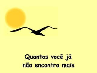 Quantos você já  não encontra mais   