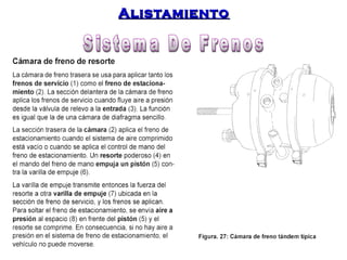 AAlliissttaammiieennttoo 
 