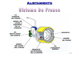 AAlliissttaammiieennttoo 
 