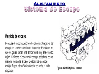 AAlliissttaammiieennttoo 
 