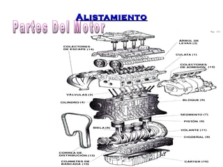 AAlliissttaammiieennttoo 
 