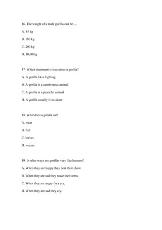 16. The weight of a male gorilla can be ....

A. 15 kg

B. 180 kg

C. 200 kg

D. 10,000 g



17. Which statement is true about a gorilla?

A. A gorilla likes fighting.

B. A gorilla is a carnivorous animal

C. A gorilla is a peaceful animal

D. A gorilla usually lives alone



18. What does a gorilla eat?

A. meat

B. fish

C. leaves

D. worms



19. In what ways are gorillas very like humans?

A. When they are happy they beat their chest.

B. When they are sad they wave their arms.

C. When they are angry they cry.

D. When they are sad they cry.
 