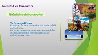Socio comanditados
El estatuto del socio comanditado es similar al del
socio colectivo.
Los socios comanditados son responsables de las
obligaciones sociales como los socios de las
sociedades colectivas.
Sociedad en Comandita
 