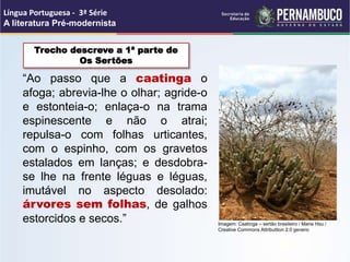 “Ao passo que a caatinga o
afoga; abrevia-lhe o olhar; agride-o
e estonteia-o; enlaça-o na trama
espinescente e não o atrai;
repulsa-o com folhas urticantes,
com o espinho, com os gravetos
estalados em lanças; e desdobra-
se lhe na frente léguas e léguas,
imutável no aspecto desolado:
árvores sem folhas, de galhos
estorcidos e secos.”
Língua Portuguesa - 3ª Série
A literatura Pré-modernista
Imagem: Caatinga – sertão brasileiro / Maria Hsu /
Creative Commons Attributtion 2.0 generic
Trecho descreve a 1ª parte de
Os Sertões
 