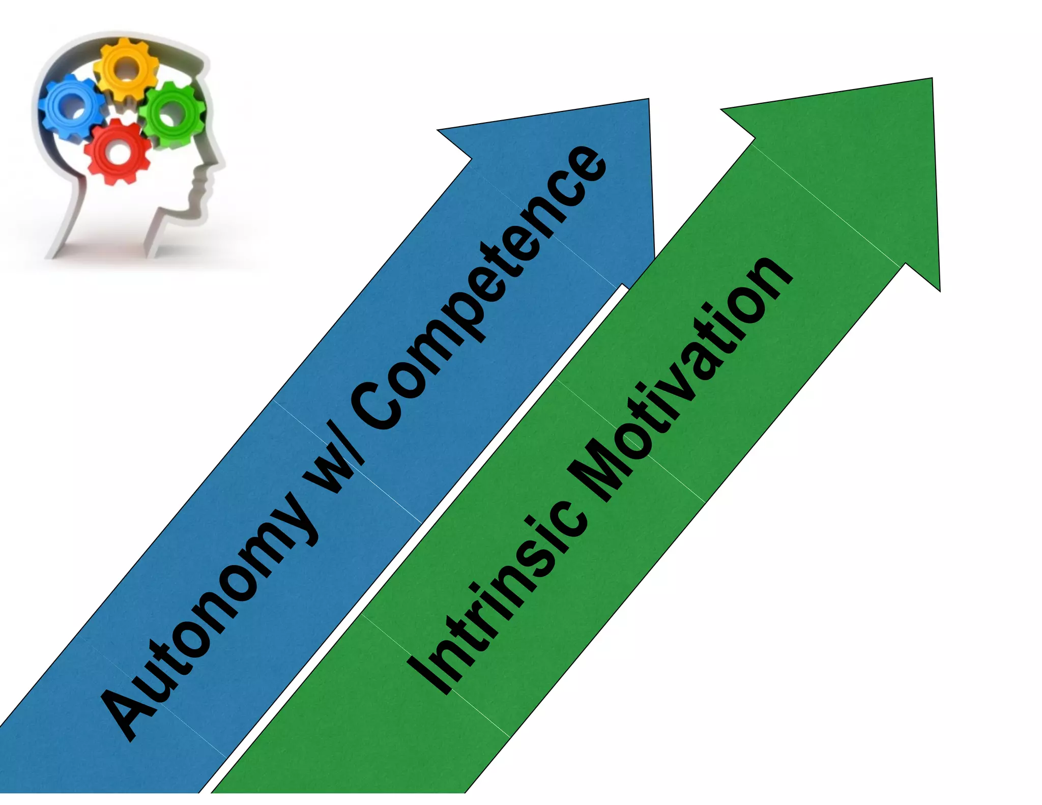 Autonomyw/Competence
IntrinsicMotivation
 