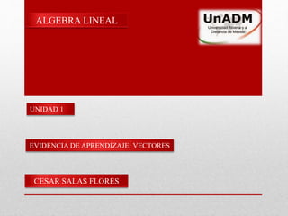 EVIDENCIA DE APRENDIZAJE: VECTORES
ALGEBRA LINEAL
CESAR SALAS FLORES
UNIDAD 1
 