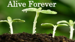 Alive Forever
 