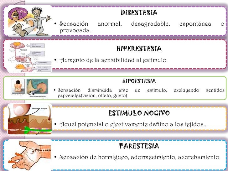 Nikola Tesla en dolor detras de la rodilla circulacion