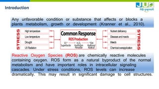 What Is An Ros Form Alivio training module | PPTX