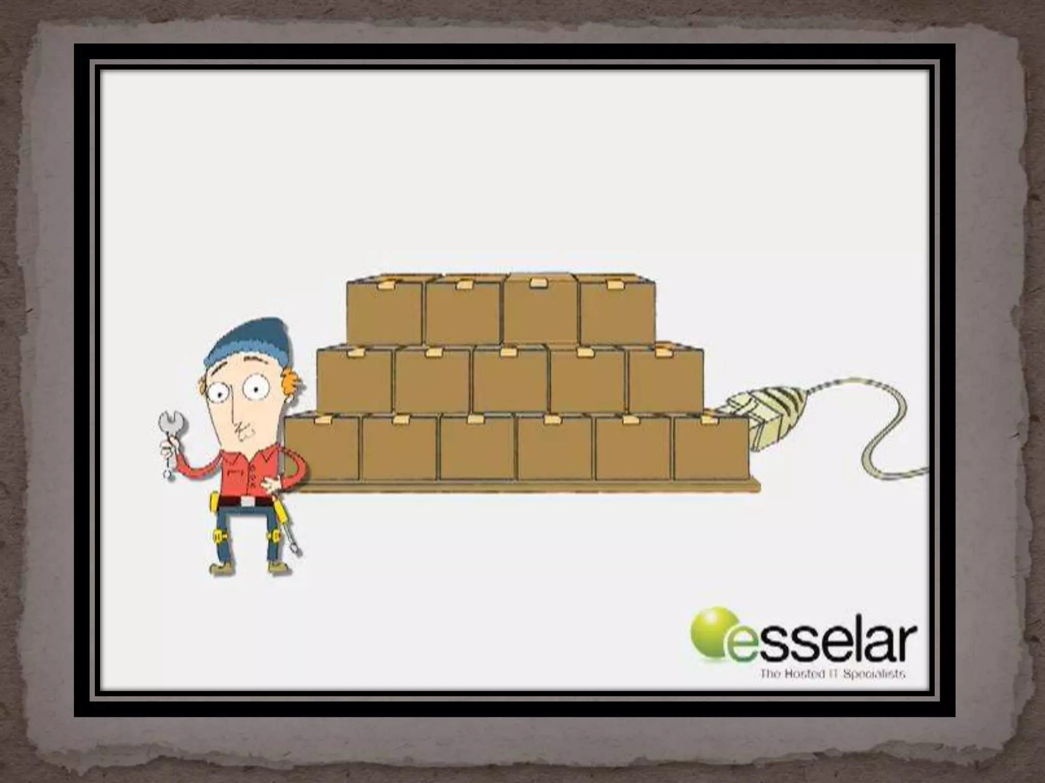 Network Support & Optimization