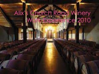 Alix’s Church Road Winery Work Experience 2010 