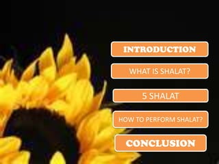 INTRODUCTION

  WHAT IS SHALAT?

      5 SHALAT

HOW TO PERFORM SHALAT?


 CONCLUSION
 