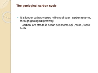 Biogiochemical cycle ppt