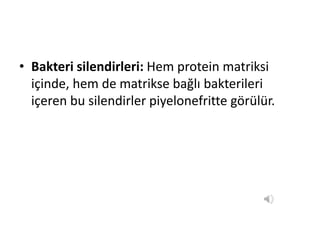 S-DV-11 İDRAR ANALİZİ 5.SINIF[8700].pptx