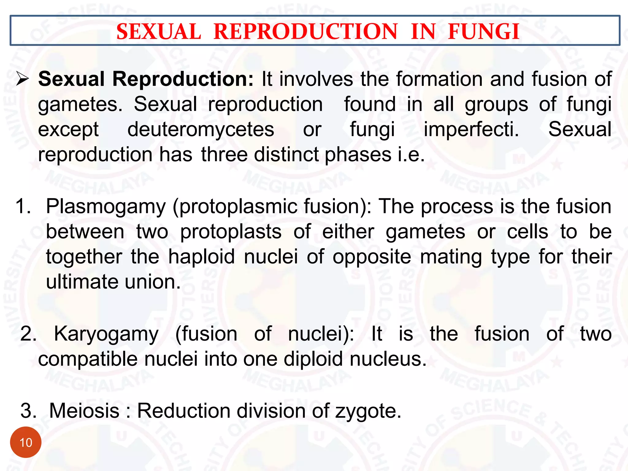  Sexual Reproduction: It involves the formation and fusion of
gametes. Sexual reproduction found in all groups of fungi
except deuteromycetes or fungi imperfecti. Sexual
reproduction has three distinct phases i.e.
1. Plasmogamy (protoplasmic fusion): The process is the fusion
between two protoplasts of either gametes or cells to be
together the haploid nuclei of opposite mating type for their
ultimate union.
2. Karyogamy (fusion of nuclei): It is the fusion of two
compatible nuclei into one diploid nucleus.
3. Meiosis : Reduction division of zygote.
SEXUAL REPRODUCTION IN FUNGI
10
 