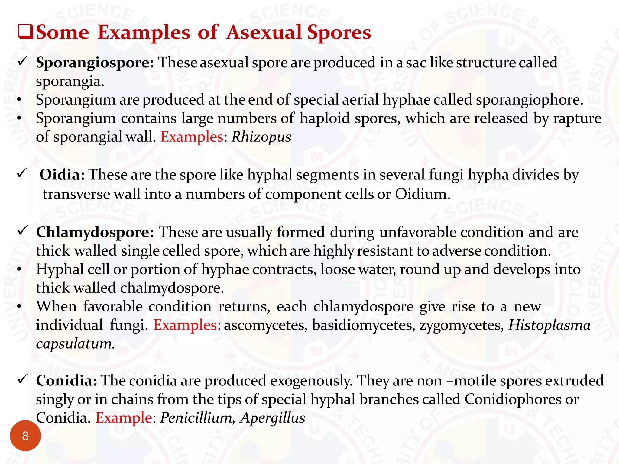 Some Examples of Asexual Spores
 Sporangiospore: Theseasexual spore are produced in a sac like structure called
sporangia.
• Sporangium are produced at theend of special aerial hyphae called sporangiophore.
• Sporangium contains large numbers of haploid spores, which are released by rapture
of sporangial wall. Examples: Rhizopus
 Oidia: These are the spore like hyphal segments in several fungi hypha divides by
transverse wall into a numbers of component cells or Oidium.
 Chlamydospore: These are usually formed during unfavorable condition and are
thick walled singlecelled spore, which are highlyresistant to adversecondition.
• Hyphal cell or portion of hyphae contracts, loose water, round up and develops into
thick walled chalmydospore.
• When favorable condition returns, each chlamydospore give rise to a new
individual fungi. Examples: ascomycetes, basidiomycetes, zygomycetes, Histoplasma
capsulatum.
 Conidia: The conidia are produced exogenously. They are non –motile spores extruded
singly or in chains from the tips of special hyphal branches called Conidiophores or
Conidia. Example: Penicillium, Apergillus
8
 