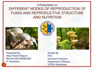 A Presentation on
DIFFERENT MODES OF REPRODUCTION OF
FUNGI AND REPRODUCTIVE STRUCTURE
AND NUTRITION
1
Presented By
Aliza Yesmin Begum
Roll No.2021/MSB/0065
4th Semester
Guided By
Prof.
Assistant Professor
Department of Botany
USTM, Meghalaya
 
