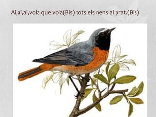 Ai,ai,ai,vola que vola(Bis) tots els nens al prat.(Bis)
 