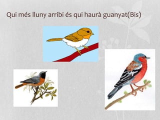 Qui més lluny arribi és qui haurà guanyat(Bis)
 