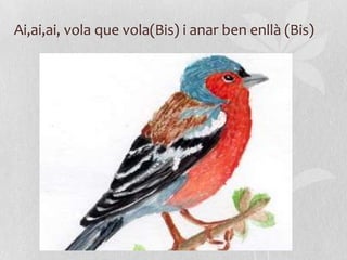 Ai,ai,ai, vola que vola(Bis) i anar ben enllà (Bis)
 