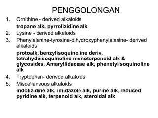 PENGGOLONGAN
1. Ornithine - derived alkaloids
tropane alk, pyrrolizidine alk
2. Lysine - derived alkaloids
3. Phenylalanine-tyrosine-dihydroxyphenylalanine- derived
alkaloids
protoalk, benzylisoquinoline deriv,
tetrahydoisoquinoline monoterpenoid alk &
glycosides, Amaryllidaceae alk, phenetylisoquinoline
alk
4. Tryptophan- derived alkaloids
5. Miscellaneous alkaloids
indolizidine alk, imidazole alk, purine alk, reduced
pyridine alk, terpenoid alk, steroidal alk
 