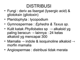 DISTRIBUSI
• Fungi : deriv as lisergat (lysergic acid) &
gliotoksin (gliotoxin)
• Pteridophyta : lycopodium
• Gymnospermae : Ephedra & Taxus sp.
• Kulit katak Phyllobates sp  alkaloid yg
paling beracun  lainnya : 24 kelas
alkaloid yg mencapai 300
• Mamalia  indole & isoquinoline alkaloid 
morfin mamalia
• Angiospermae : distribusi tidak merata
 