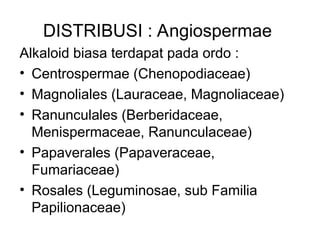 DISTRIBUSI : Angiospermae
Alkaloid biasa terdapat pada ordo :
• Centrospermae (Chenopodiaceae)
• Magnoliales (Lauraceae, Magnoliaceae)
• Ranunculales (Berberidaceae,
Menispermaceae, Ranunculaceae)
• Papaverales (Papaveraceae,
Fumariaceae)
• Rosales (Leguminosae, sub Familia
Papilionaceae)
 