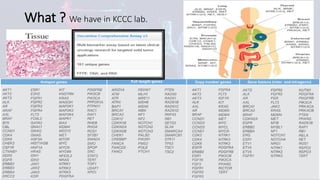 Clinical Integration of NGS for ALK Fusions Identification in NSCLC ...