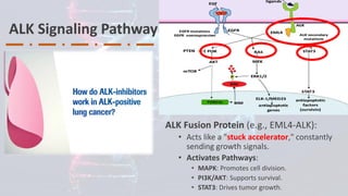 Clinical Integration of NGS for ALK Fusions Identification in NSCLC ...