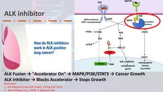 Clinical Integration of NGS for ALK Fusions Identification in NSCLC ...