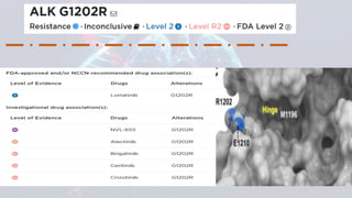 Clinical Integration of NGS for ALK Fusions Identification in NSCLC ...