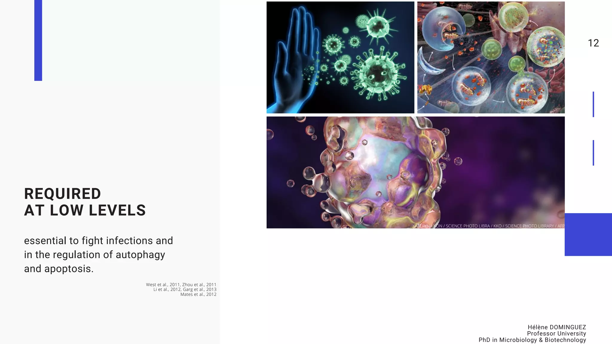 12
REQUIRED
AT LOW LEVELS
essential to fight infections and
in the regulation of autophagy
and apoptosis.
KATERYNA KON / SCIENCE PHOTO LIBRA / KKO / SCIENCE PHOTO LIBRARY / AFP
West et al., 2011, Zhou et al., 2011
Li et al., 2012, Garg et al., 2013
Mates et al., 2012
Hélène DOMINGUEZ
Professor University
PhD in Microbiology & Biotechnology
 