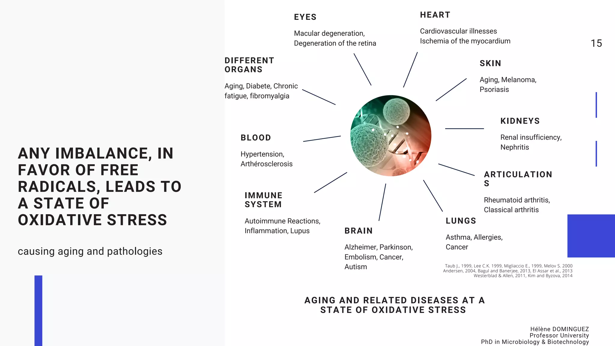 15
EYES
Macular degeneration,
Degeneration of the retina
HEART
Cardiovascular illnesses
Ischemia of the myocardium
BLOOD
Hypertension,
Arthérosclerosis
DIFFERENT
ORGANS
Aging, Diabete, Chronic
fatigue, fibromyalgia
SKIN
Aging, Melanoma,
Psoriasis
KIDNEYS
Renal insufficiency,
Nephritis
IMMUNE
SYSTEM
Autoimmune Reactions,
Inflammation, Lupus
ARTICULATION
S
Rheumatoid arthritis,
Classical arthritis
LUNGS
Asthma, Allergies,
Cancer
BRAIN
Alzheimer, Parkinson,
Embolism, Cancer,
Autism Taub J., 1999, Lee C.K. 1999, Migliaccio E., 1999, Melov S. 2000
Andersen, 2004, Bagul and Banerjee, 2013, El Assar et al., 2013
Westerblad & Allen, 2011, Kim and Byzova, 2014
ANY IMBALANCE, IN
FAVOR OF FREE
RADICALS, LEADS TO
A STATE OF
OXIDATIVE STRESS
causing aging and pathologies
AGING AND RELATED DISEASES AT A
STATE OF OXIDATIVE STRESS
Hélène DOMINGUEZ
Professor University
PhD in Microbiology & Biotechnology
 