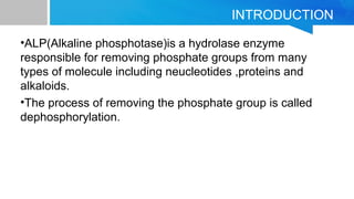 INTRODUCTION
•ALP(Alkaline phosphotase)is a hydrolase enzyme
responsible for removing phosphate groups from many
types of molecule including neucleotides ,proteins and
alkaloids.
•The process of removing the phosphate group is called
dephosphorylation.
 