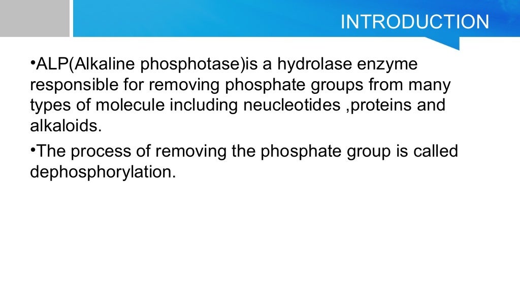 Alkaline phosphatase