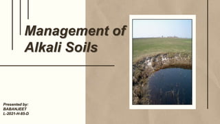 Management of
Alkali Soils
Presented by:
BABANJEET
L-2021-H-85-D
 