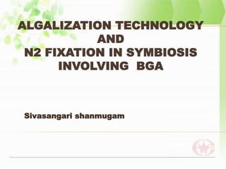 ALGALIZATION TECHNOLOGY
AND
N2 FIXATION IN SYMBIOSIS
INVOLVING BGA
Sivasangari shanmugam
 