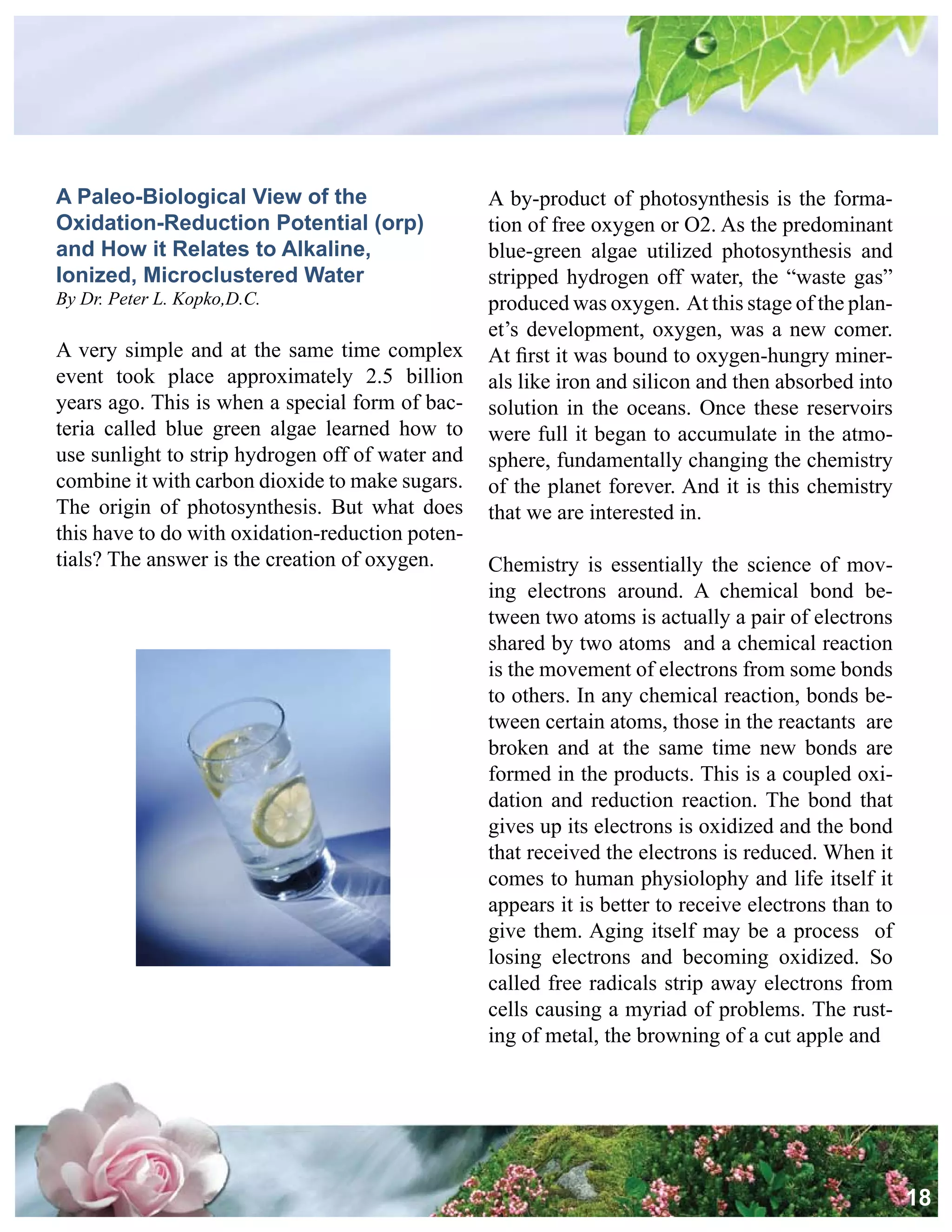 Alkalize And Detoxify For Life