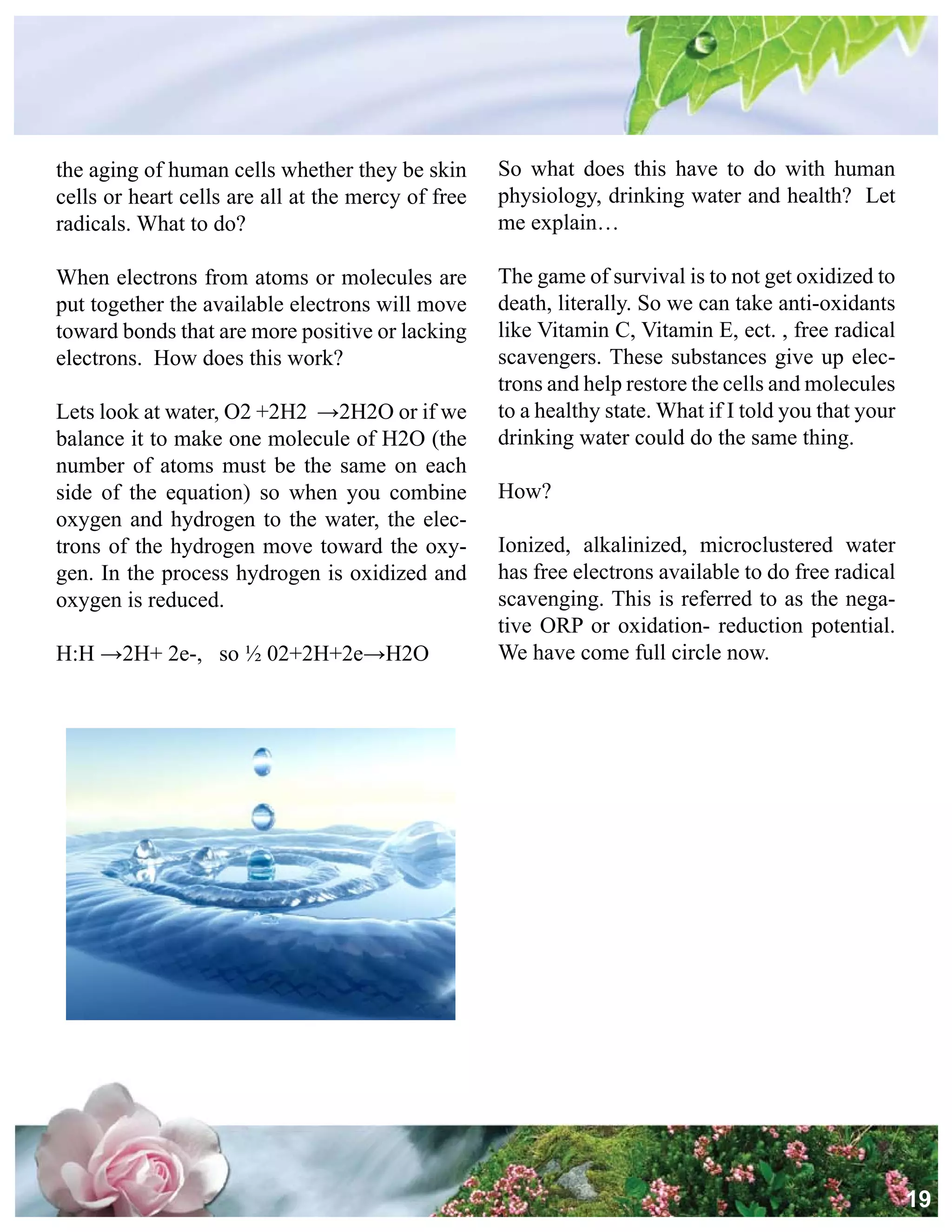 Alkalize And Detoxify For Life